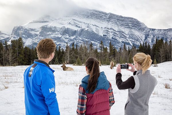 Banff Winter Wildlife Tour - Breakaway Experiences